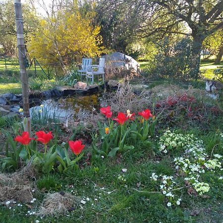 Dinant La Bergeronnette Avec La Chaleur Du Feu De Bois Et Le Jardin Villa Szoba fotó