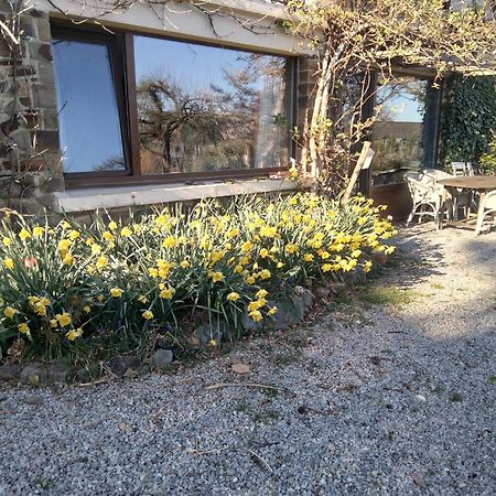 Dinant La Bergeronnette Avec La Chaleur Du Feu De Bois Et Le Jardin Villa Szoba fotó