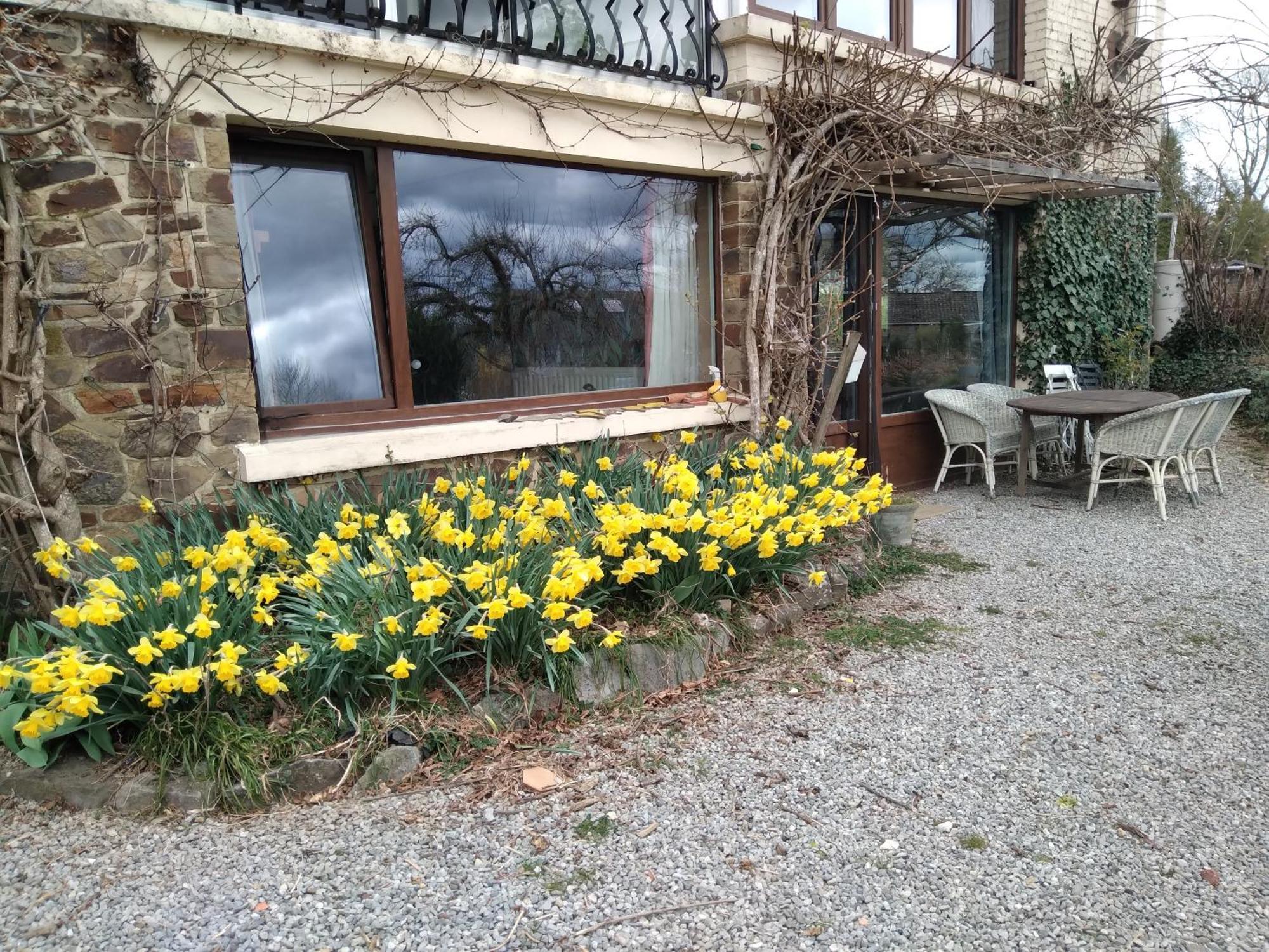 Dinant La Bergeronnette Avec La Chaleur Du Feu De Bois Et Le Jardin Villa Kültér fotó