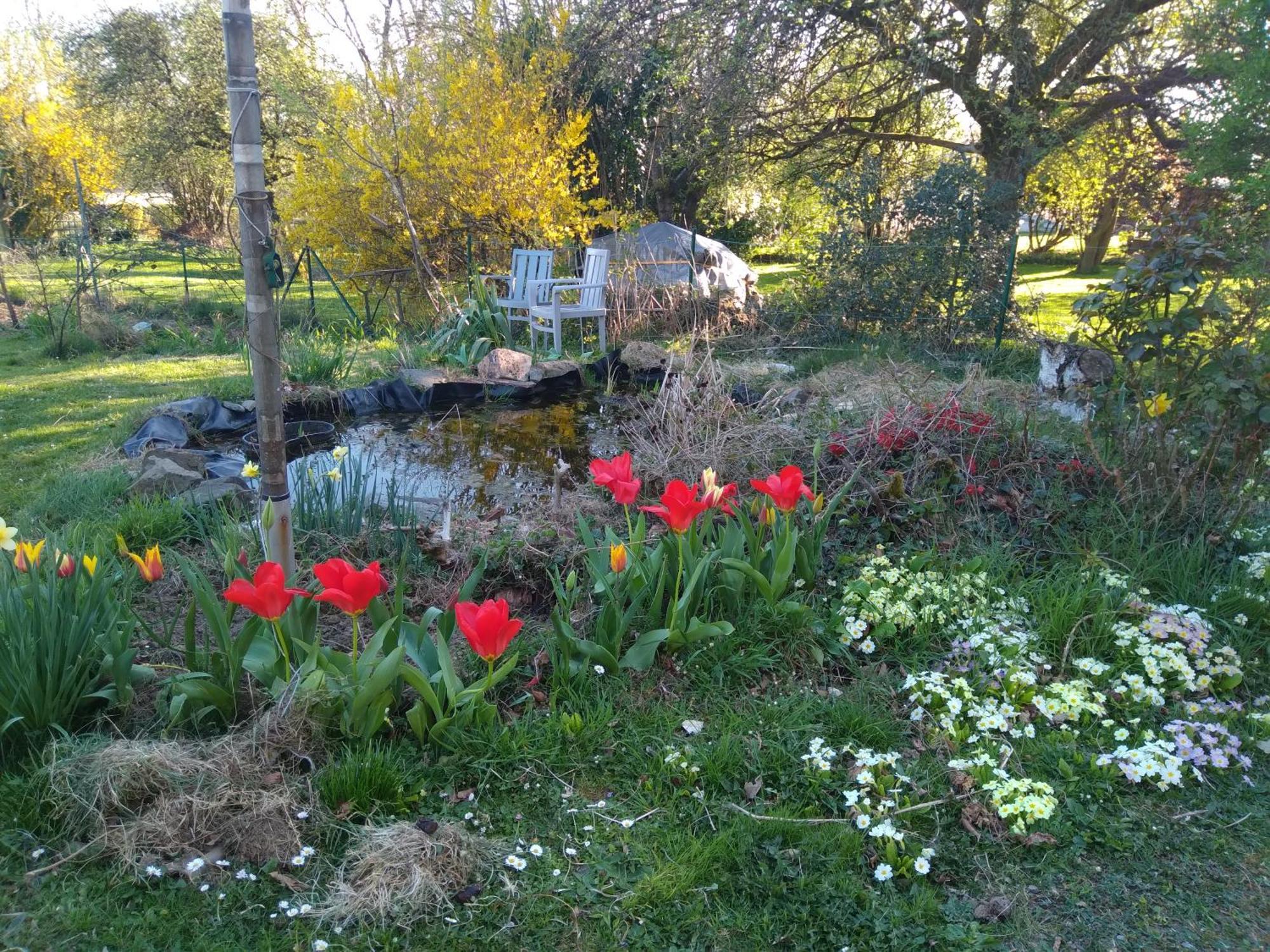 Dinant La Bergeronnette Avec La Chaleur Du Feu De Bois Et Le Jardin Villa Szoba fotó