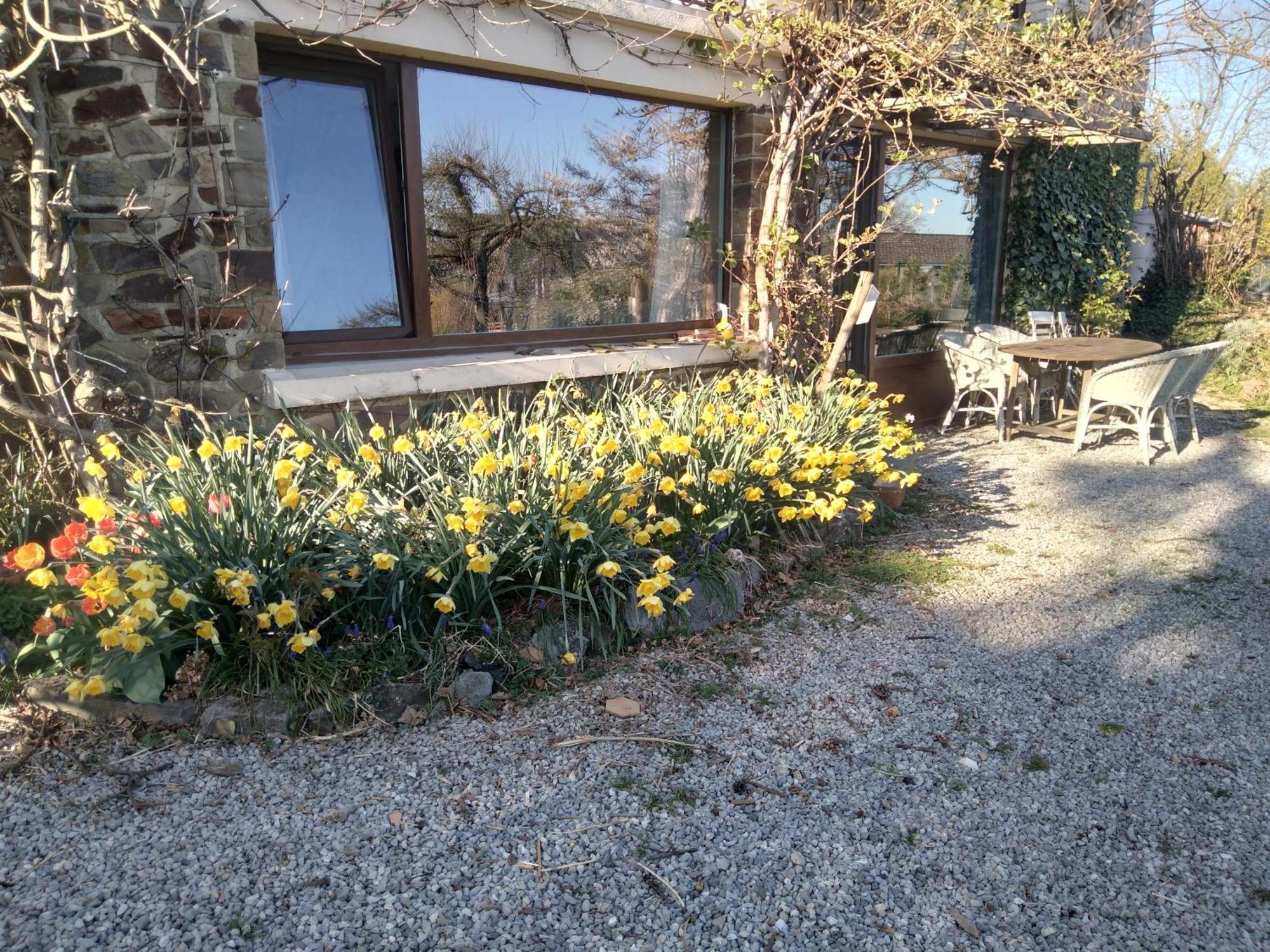 Dinant La Bergeronnette Avec La Chaleur Du Feu De Bois Et Le Jardin Villa Szoba fotó