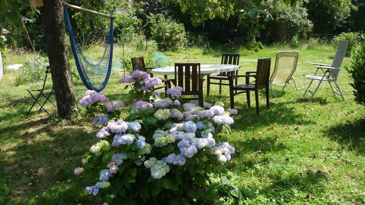 Dinant La Bergeronnette Avec La Chaleur Du Feu De Bois Et Le Jardin Villa Kültér fotó